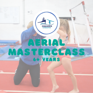 Ariel Masterclass